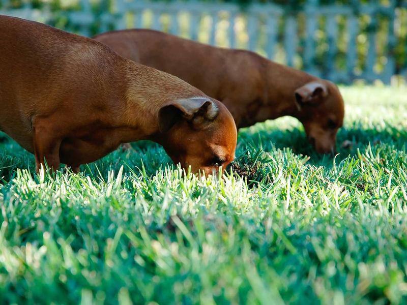 sudoku easy screenshot 6