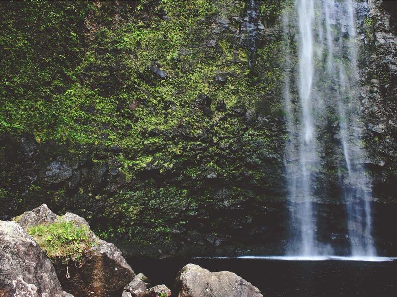 sudoku easy screenshot 1